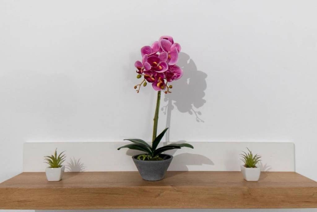 Apartament Brand New Aprt With Backyard In Lycabettus Hill ! Ateny Zewnętrze zdjęcie